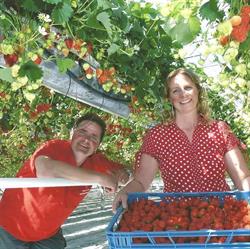 Vriend Aardbeien, Benningbroek openingstijden