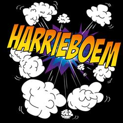Harrieboem vuurwerk, Halle openingstijden