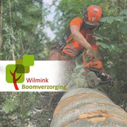Wilmink boomverzorging, Voorst openingstijden