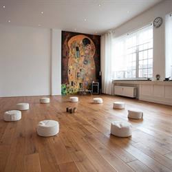 Flow plaza, Haarlem openingstijden