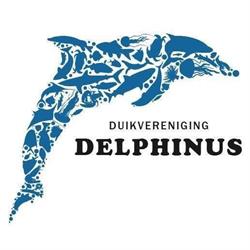 Duikvereniging Delphinus, Waalre openingstijden