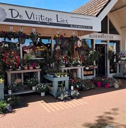 Bloemboetiek De Vlijtige Lies, Staphorst openingstijden