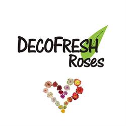 Decofresh Holland, Aalsmeer openingstijden