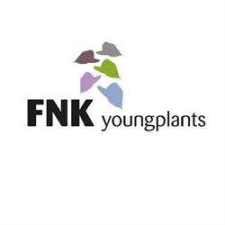 FNK YoungPlants BV, Kudelstaart openingstijden