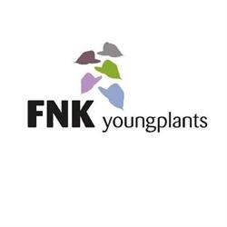 FNK YoungPlants BV, Kudelstaart openingstijden