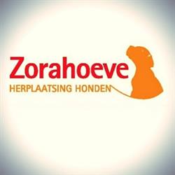 Stichting Zorahoeve, Meedhuizen openingstijden