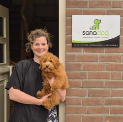 Sanadog, Deurne openingstijden