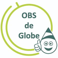 De Globe, Haarlem openingstijden