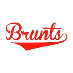 Brunts Banden en Velgen, Esbeek openingstijden