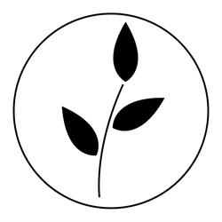 Bio Beauty Company, Steyl openingstijden