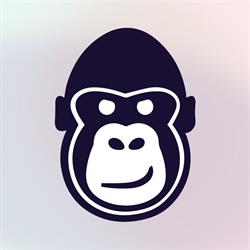 Codegorilla, Groningen openingstijden