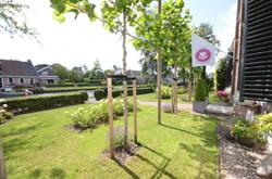 Bloemenhoeve Bed and Breakfast, Burdaard openingstijden