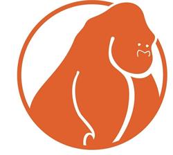 Gorilla Grip B.V., Zuidwolde openingstijden