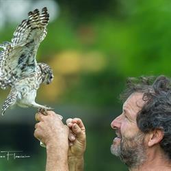 Topvogel Roofvogelpark Diessen, openingstijden
