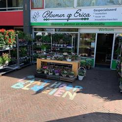 Bloemen op Erica, openingstijden