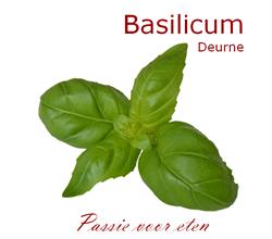 Basilicum Deurne, openingstijden