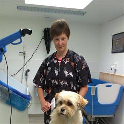 Hondentrimsalon Beppie, Eindhoven openingstijden