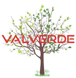 Valverde, Amsterdam openingstijden
