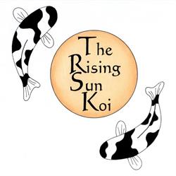 The Rising Sun KOI, Baarlo openingstijden