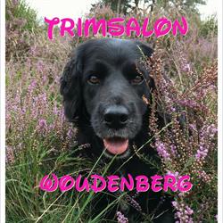 Trimsalon Woudenberg Scherpenzeel, openingstijden