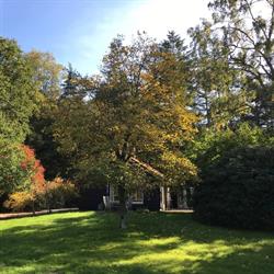 Landgoed Dennenholt, Vierhouten openingstijden