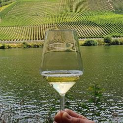 Vino Panini, Vriezenveen openingstijden