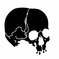 Tattooshop Schoffie, Amsterdam openingstijden