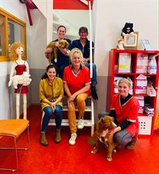 Dierenartspraktijk Gieten - Dierenarts Natasja, openingstijden