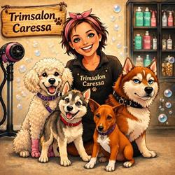 Trimsalon Caressa, Veenendaal openingstijden