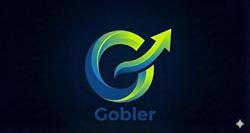 Gobler Coaching, Rijsenhout openingstijden
