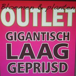 Bloemen en Planten Outlet, Helmond openingstijden