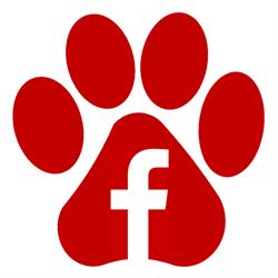 Dr. Woof, Rotterdam openingstijden