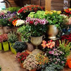 D' Oude bloemensmidse, Heelsum openingstijden