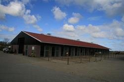 De Kreekrug, Grijpskerke openingstijden