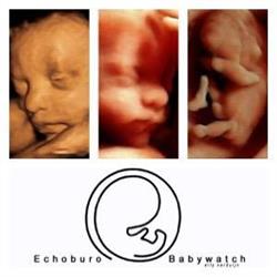 Echoburo Babywatch, IJmuiden openingstijden