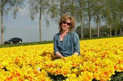 Gastouder Anneke, Marknesse openingstijden
