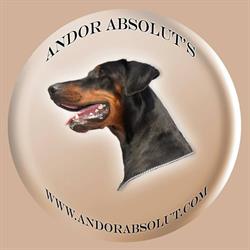 Dobermann & Dalmatier kennel Andor Absolut's, Bergschenhoek openingstijden