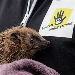 Egelopvang Papendrecht, openingstijden