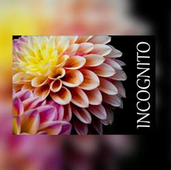 Incognito Bloemen, Veldhoven openingstijden