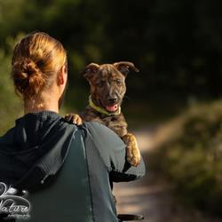 Werken met je hond, Maarsbergen openingstijden