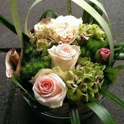 Bloemenshop 't Haasje, 's-Gravenhage openingstijden