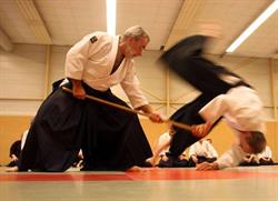 Aikido Ryu Jan Rusman, Haarlem openingstijden