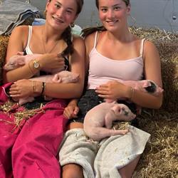 Piggy's Palace, Bathmen openingstijden