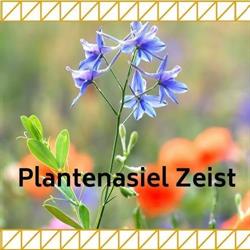 Plantenasiel Zeist, openingstijden