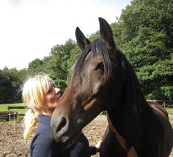 Teambuilding met Paarden - Paardencoaching Bosch en Duin/Zeist, Utrecht, openingstijden