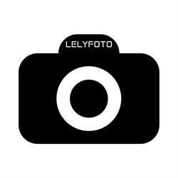 Lelyfoto, Lelystad openingstijden