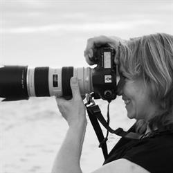 Kaaa Fotografie, Dreischor openingstijden