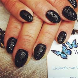 Born for Nails - Assendelft, openingstijden