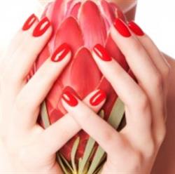 Adventure Nails, Etten-Leur openingstijden