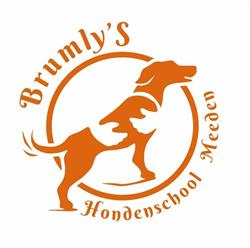 Brumly'S Hondenschool Meeden, openingstijden
